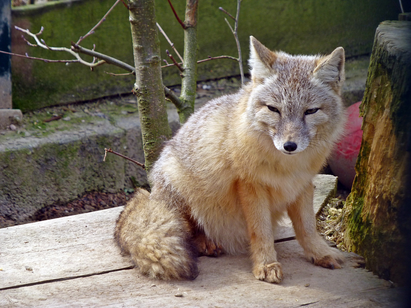 Tierpark Kleve