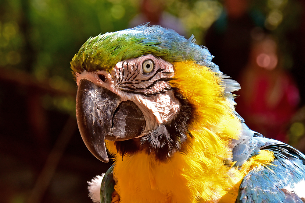 Tierpark La Palma