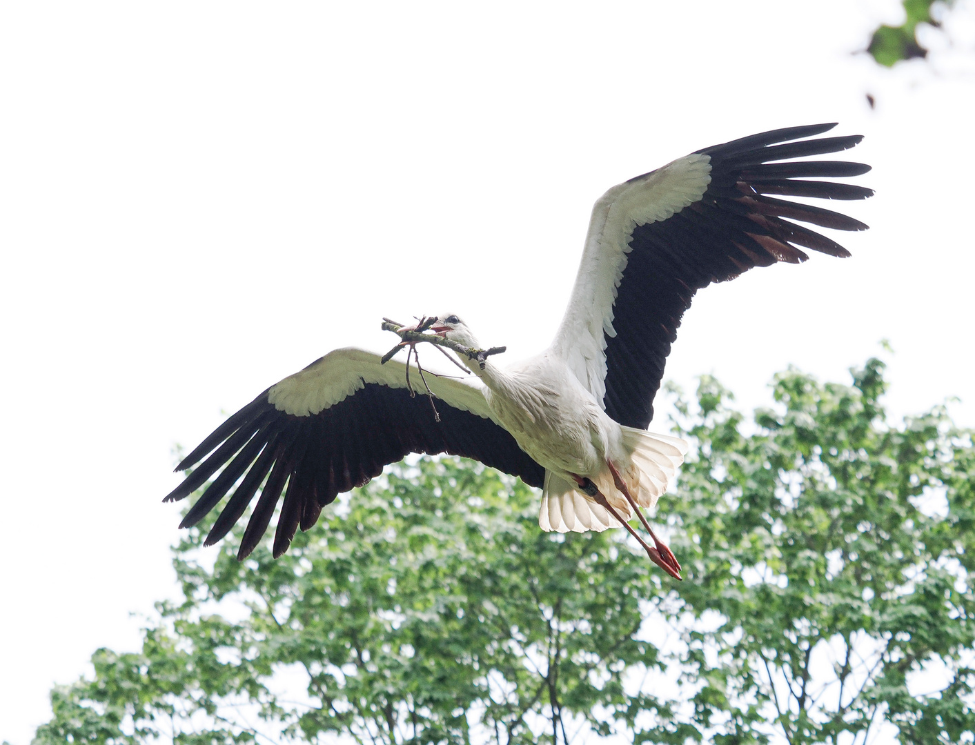 Tierpark LangeErlen 5