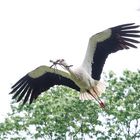 Tierpark LangeErlen 5