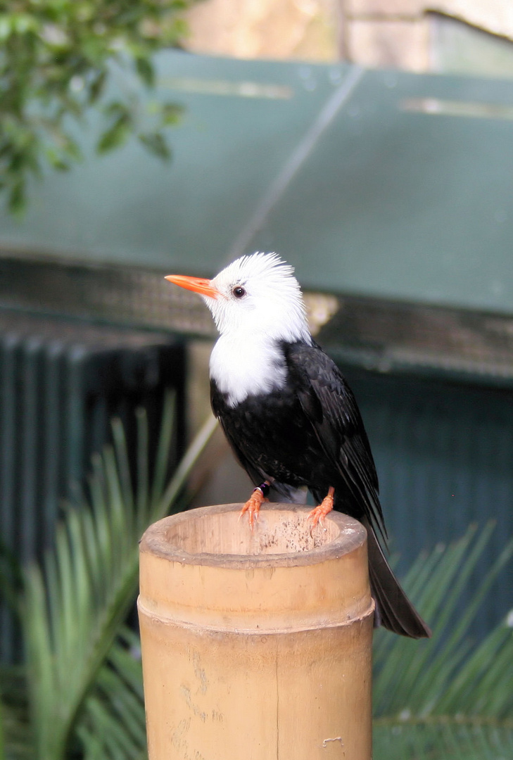 Tierpark Leipzig