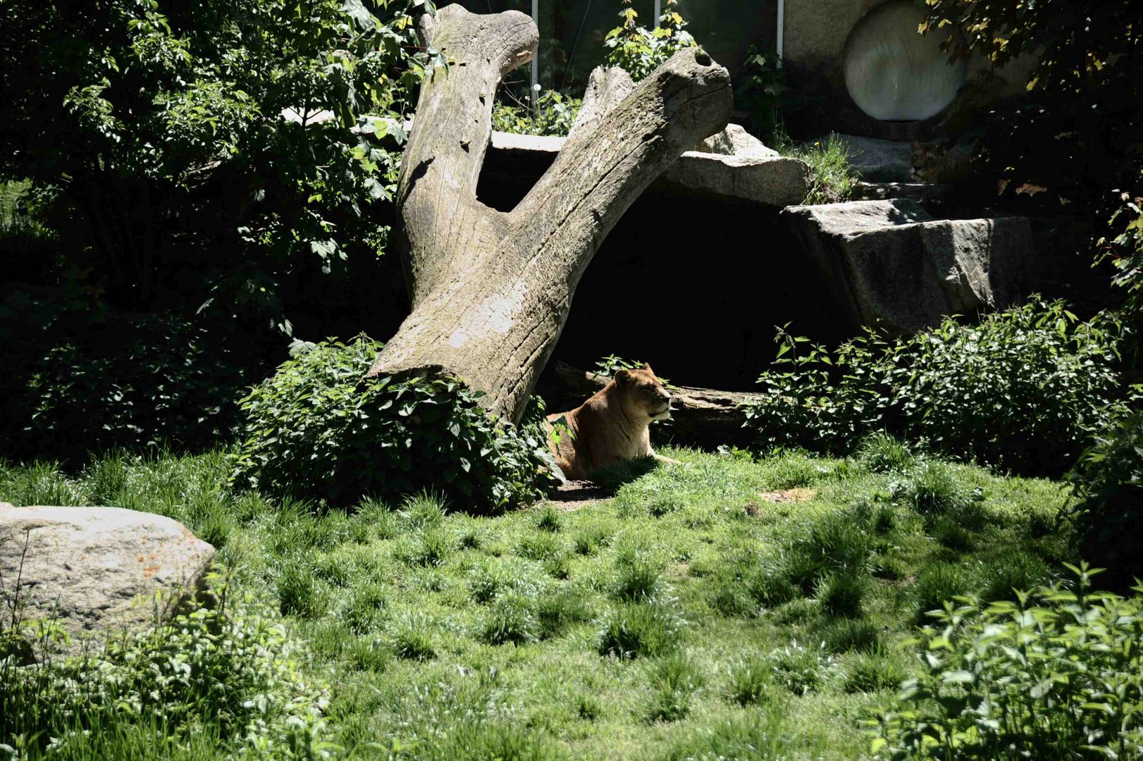 Tierpark München