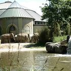 Tierpark München