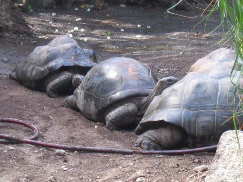 Tierpark München