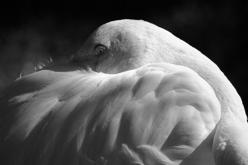 Tierpark Neuwied