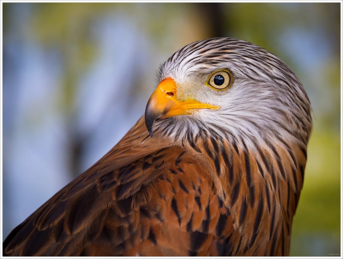 Tierpark Niederfischbach