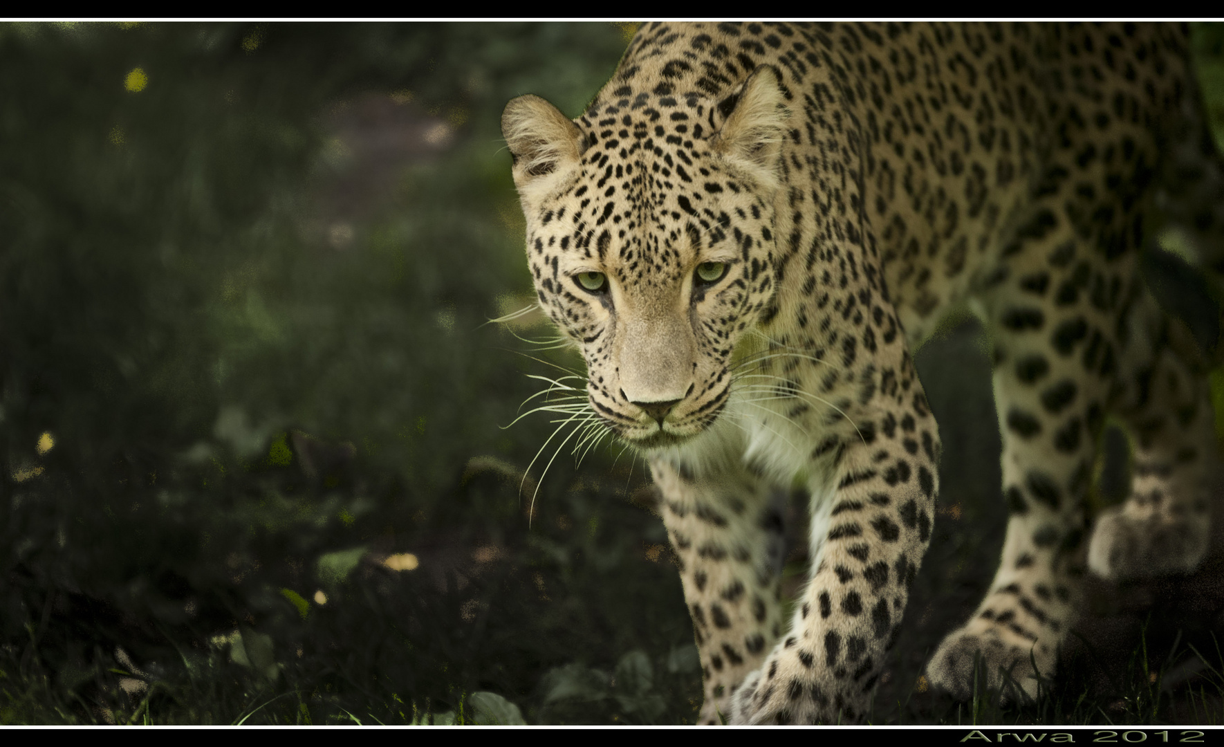 Tierpark Nordhorn