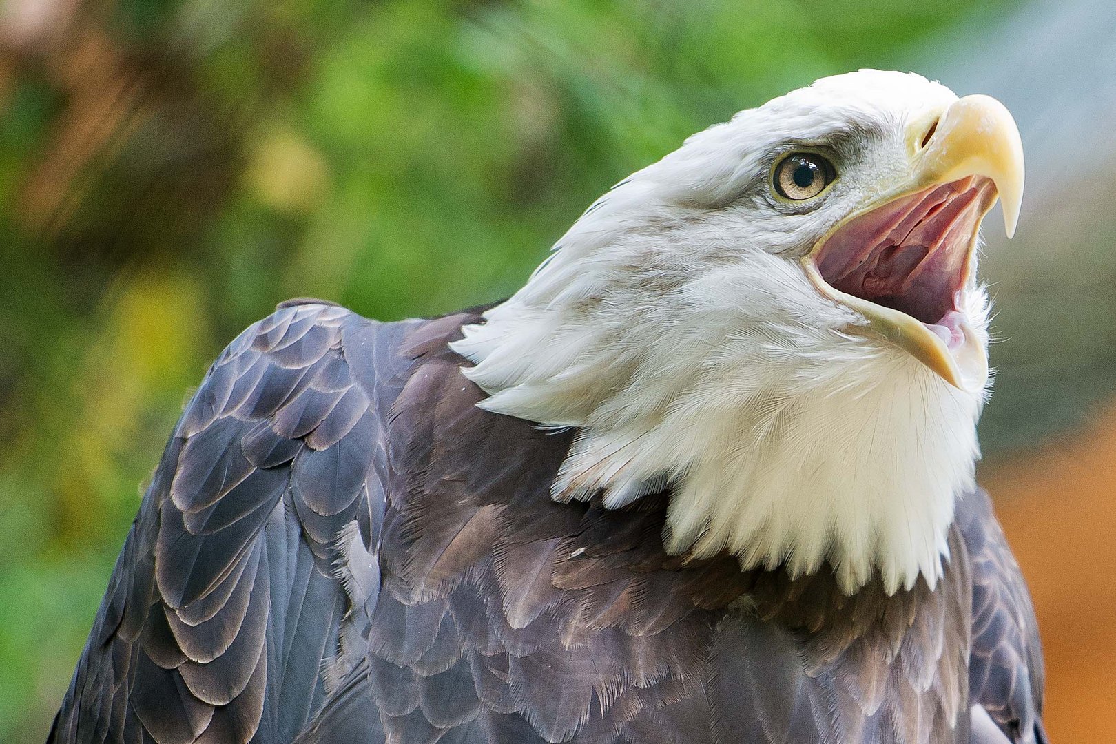 Tierpark Nürnberg