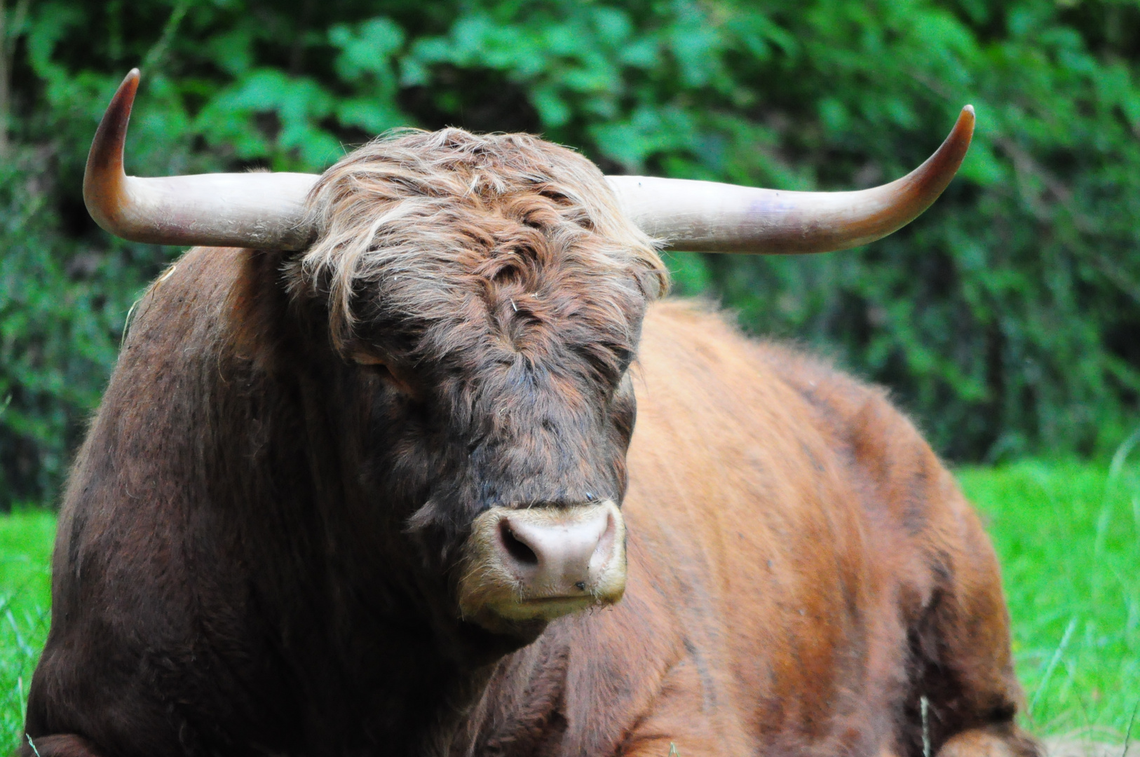 Tierpark Nürnberg