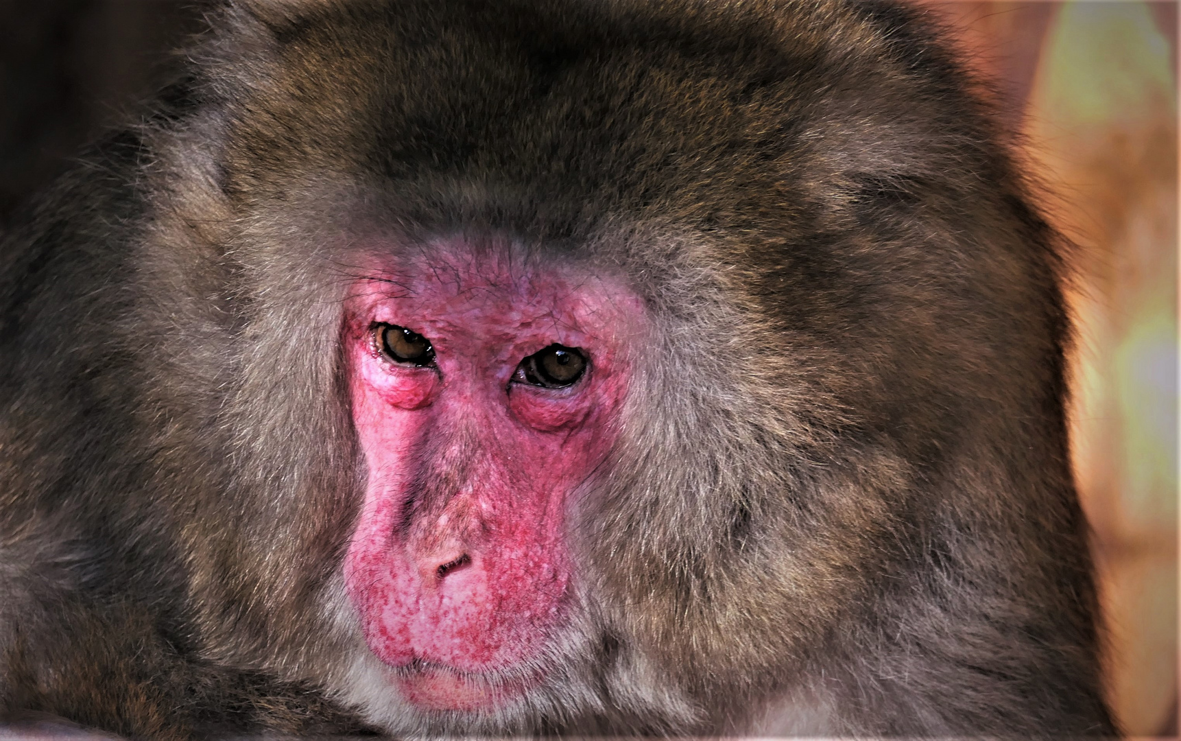 Tierpark Porträt...