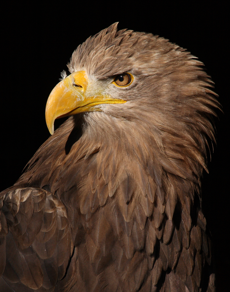 Tierpark Sababurg