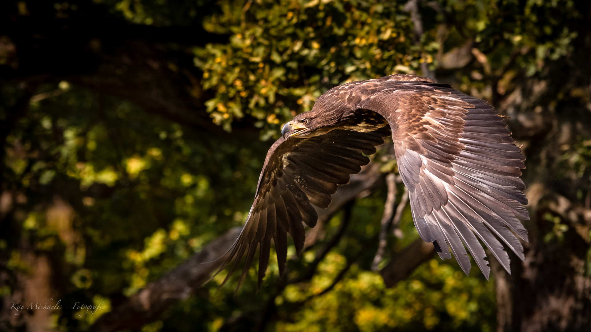 Tierpark Sababurg