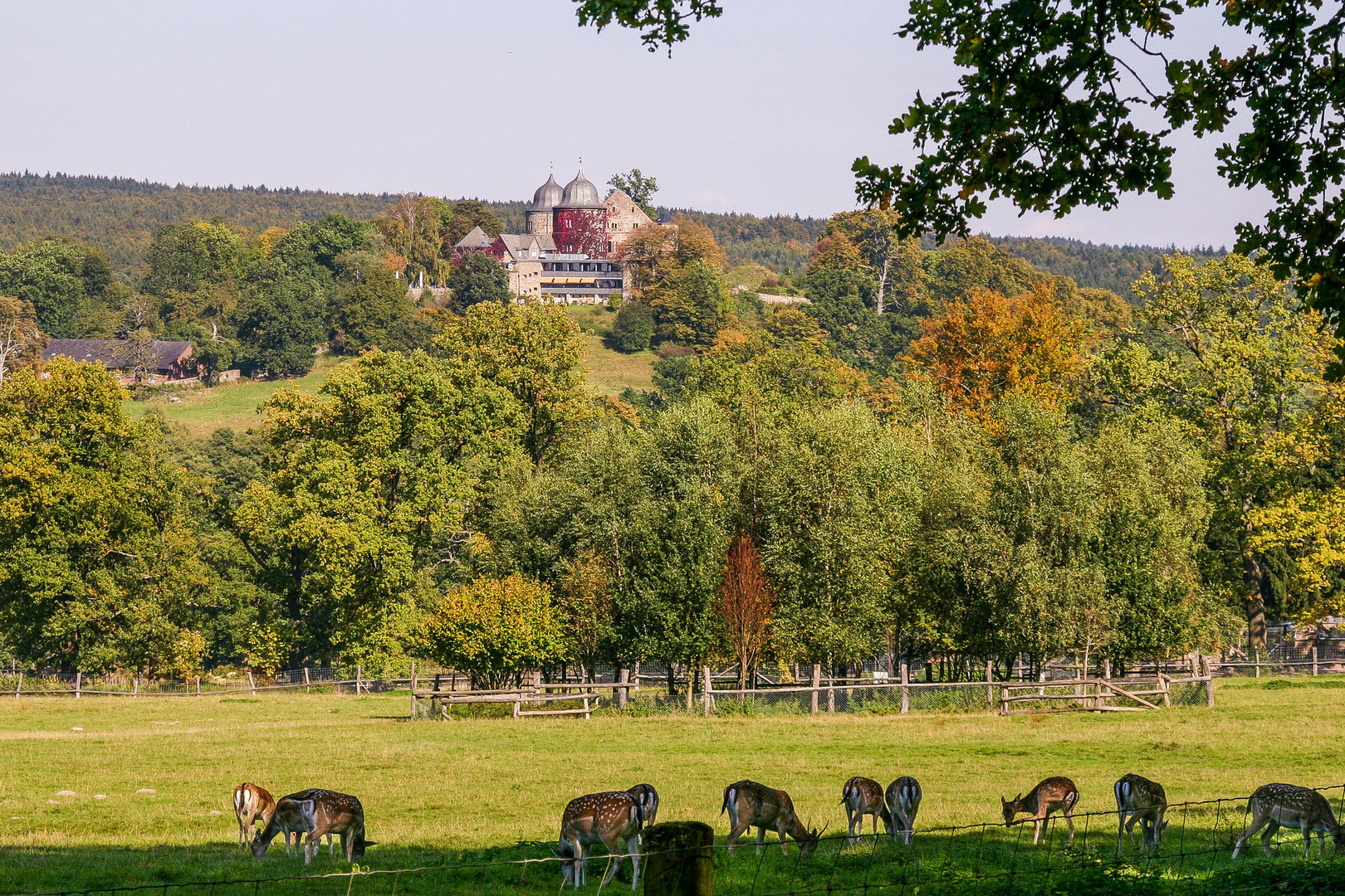 Tierpark Sababurg Dornröschen­schloss