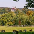 Tierpark Sababurg Dornröschen­schloss