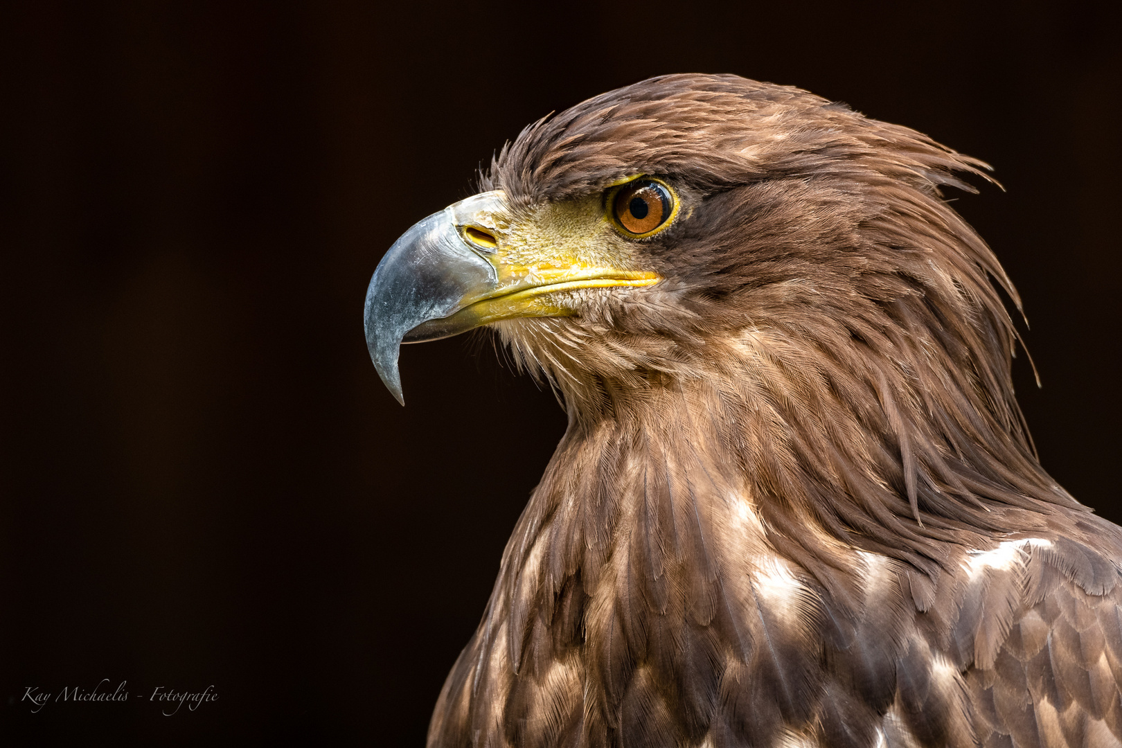 Tierpark Sababurg