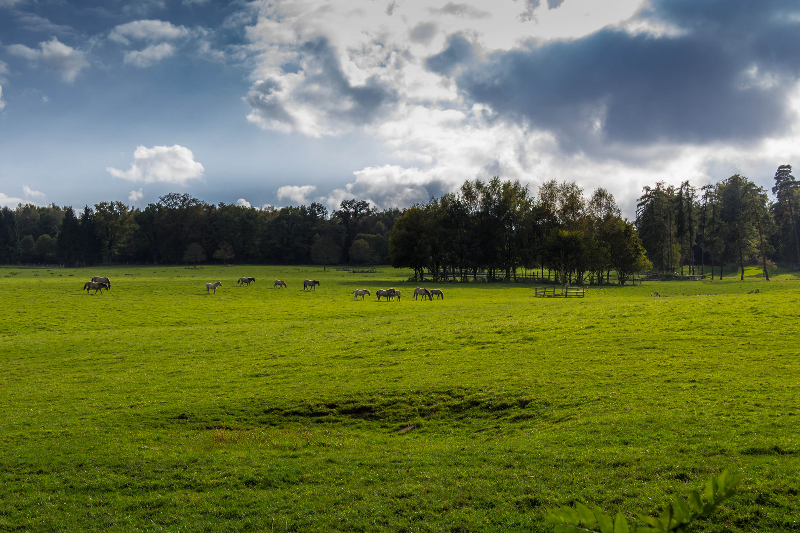 Tierpark Sababurg