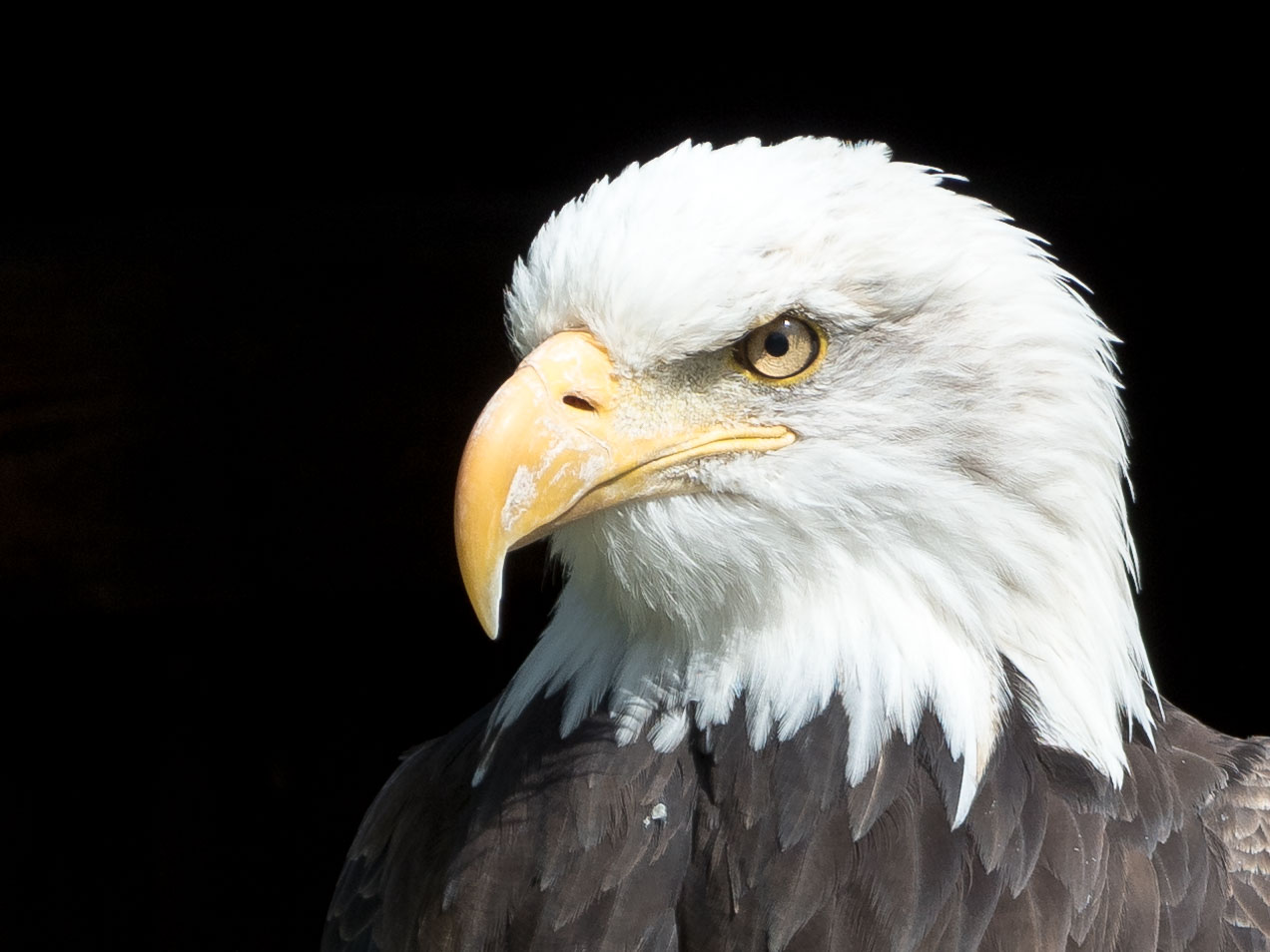 Tierpark Sababurg_033