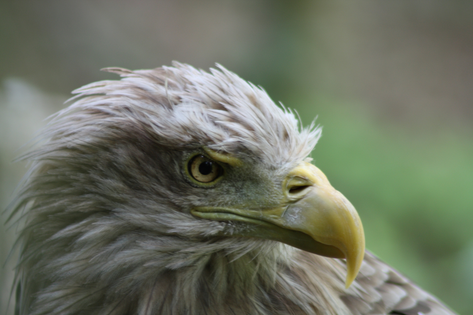 Tierpark Schmiding