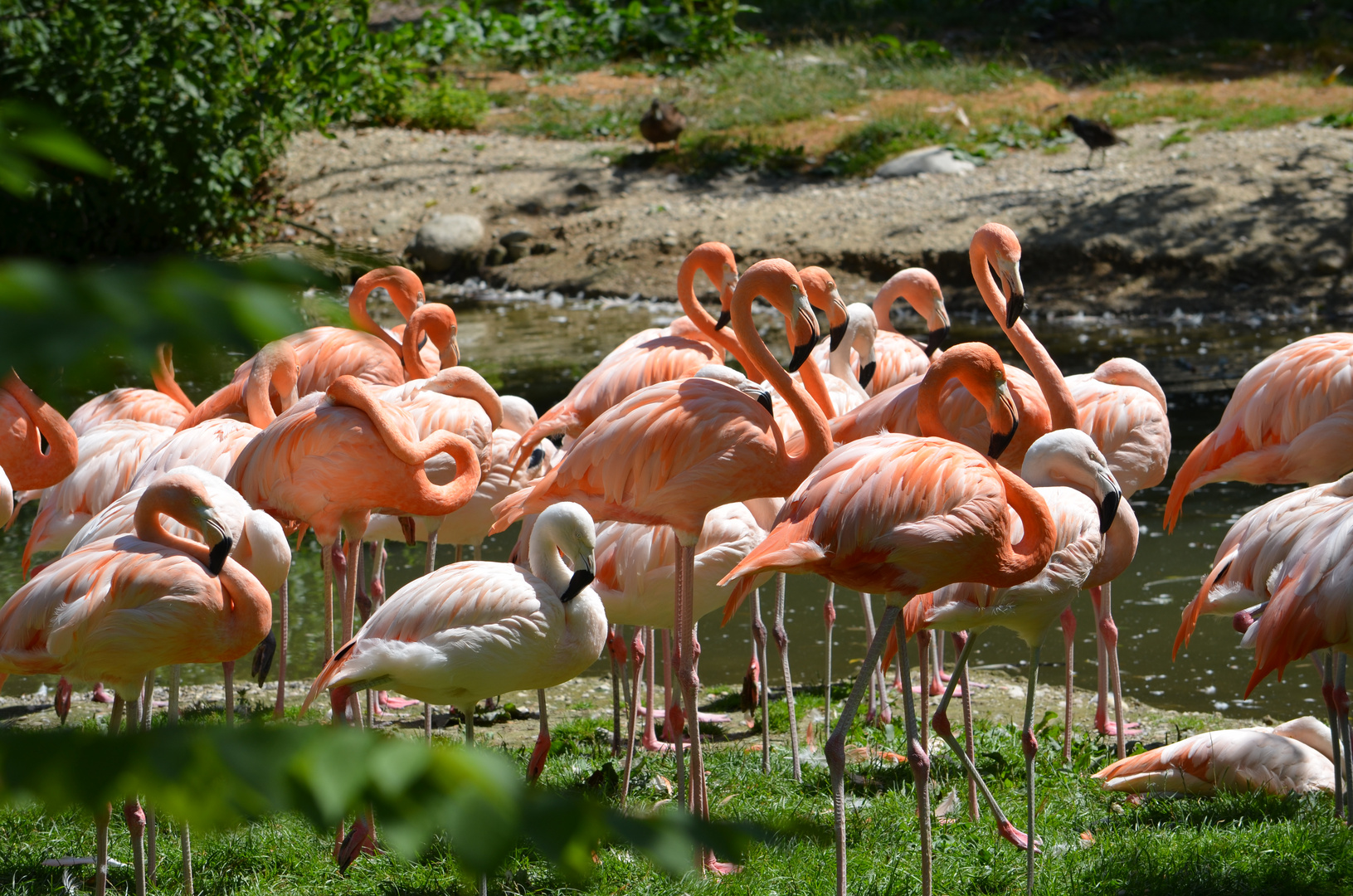 Tierpark Schmiding