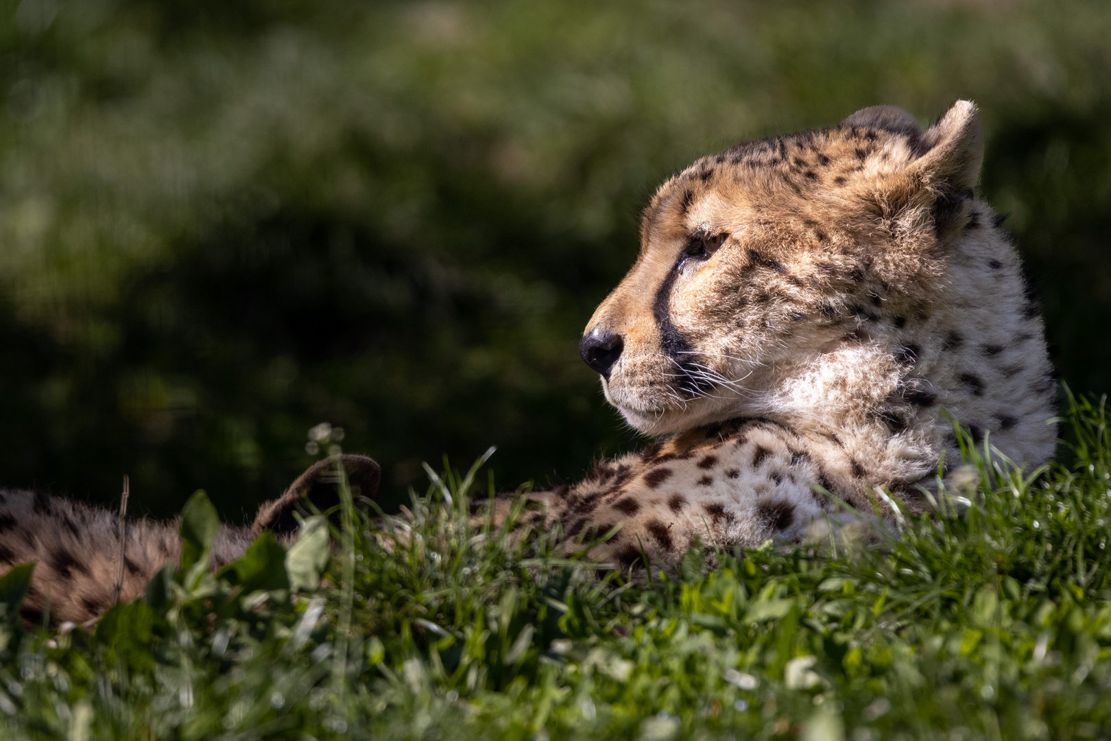 Tierpark Schönbrunn