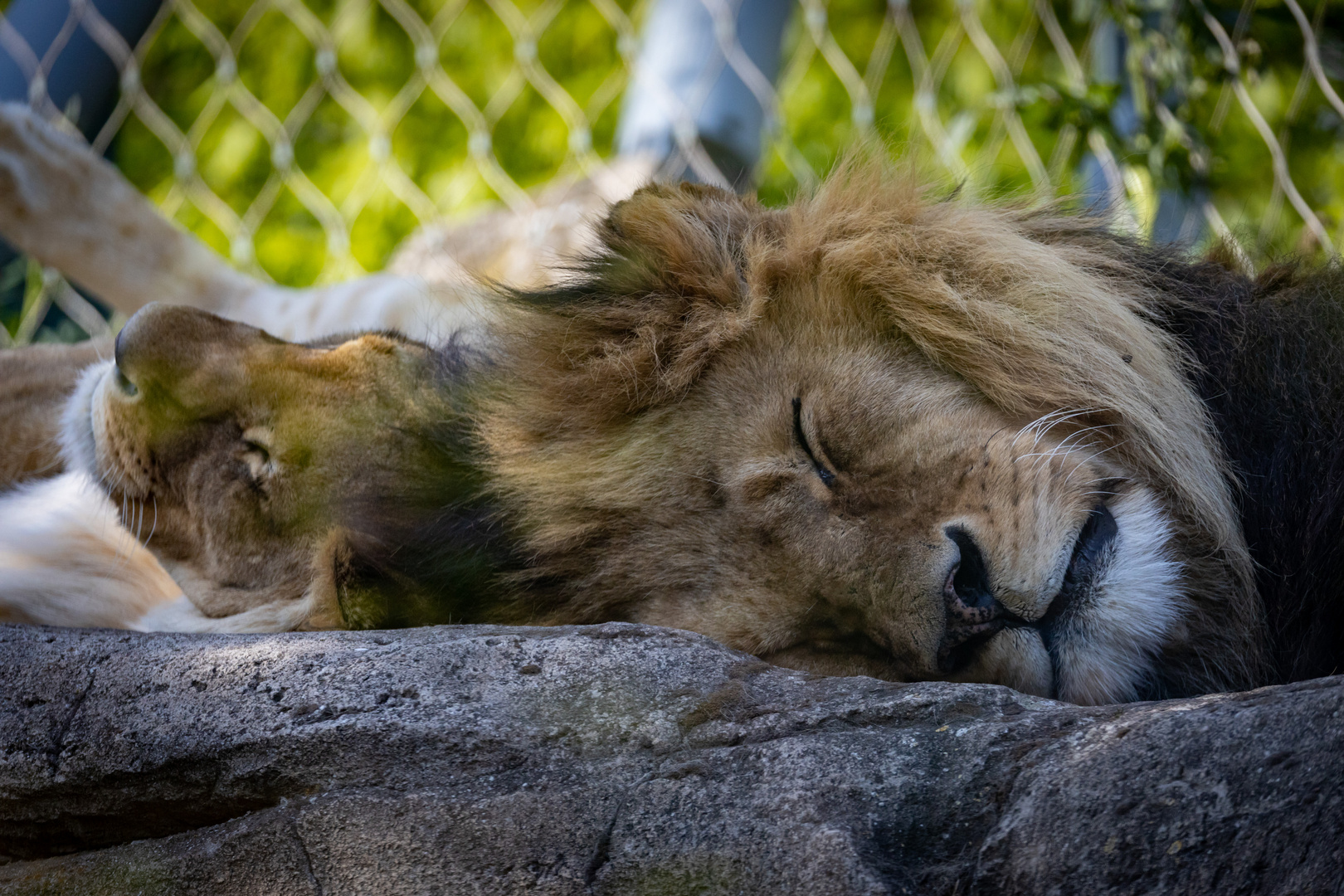 Tierpark Schönbrunn