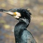 Tierpark Schönbrunn-8919-2