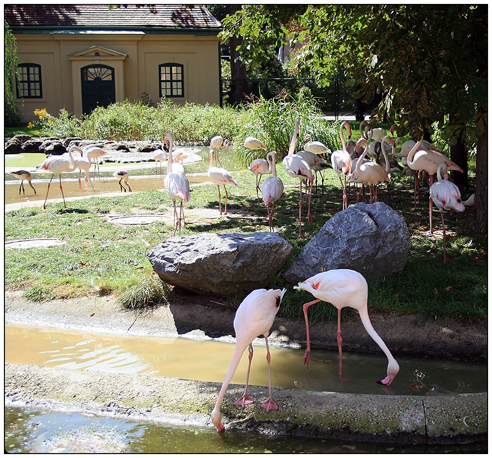 Tierpark Schönbrunn