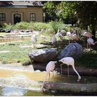 Tierpark Schönbrunn