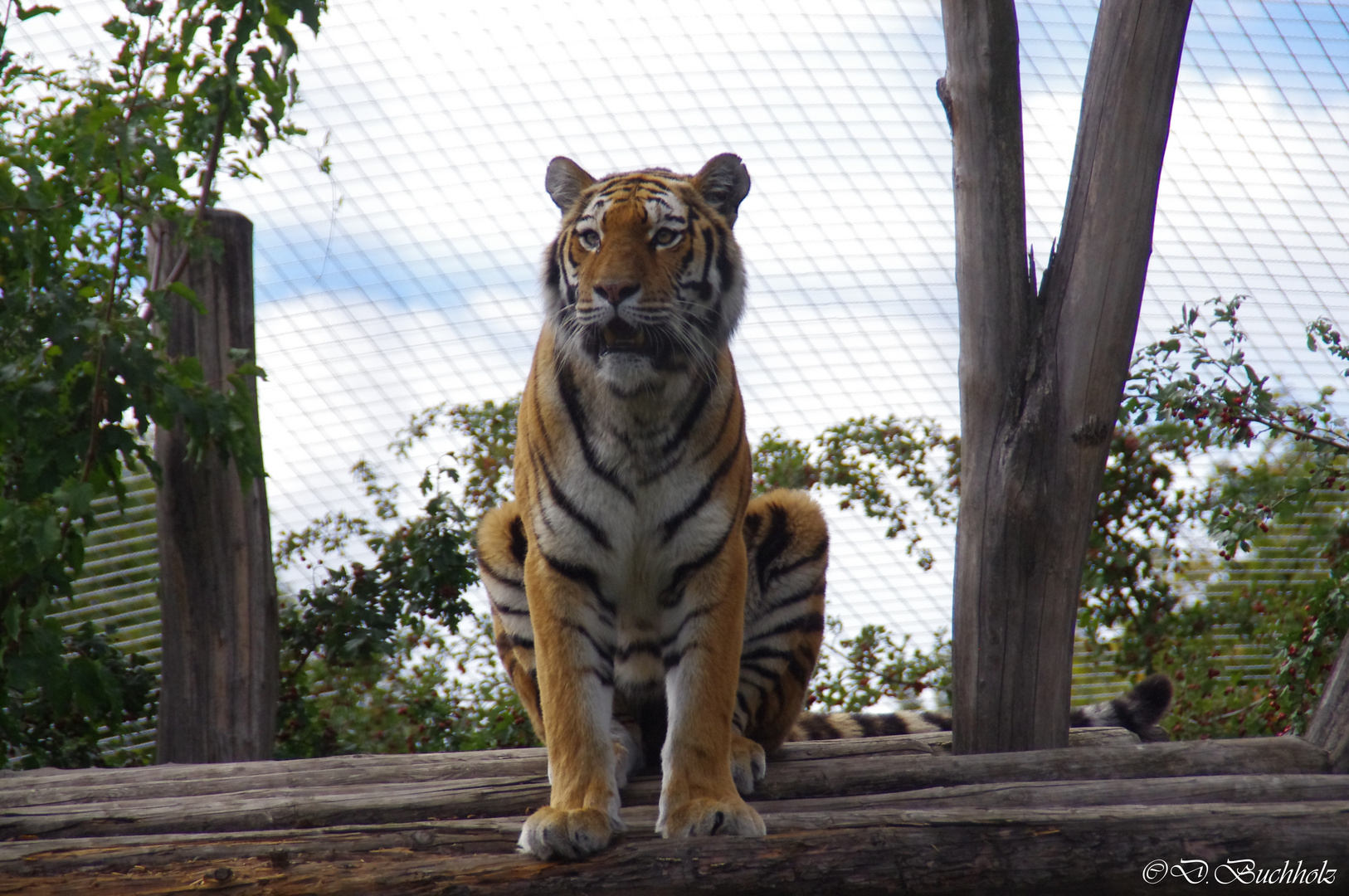 Tierpark Schönbrunn