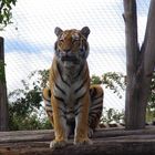 Tierpark Schönbrunn