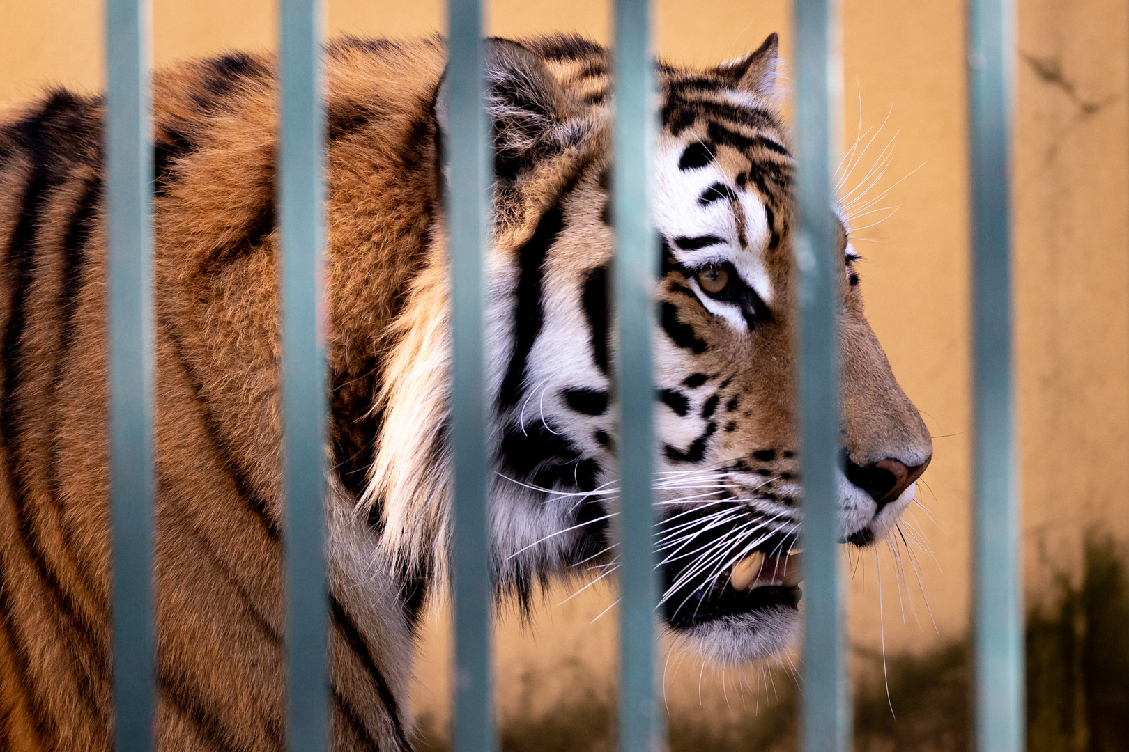 Tierpark Schönbrunn