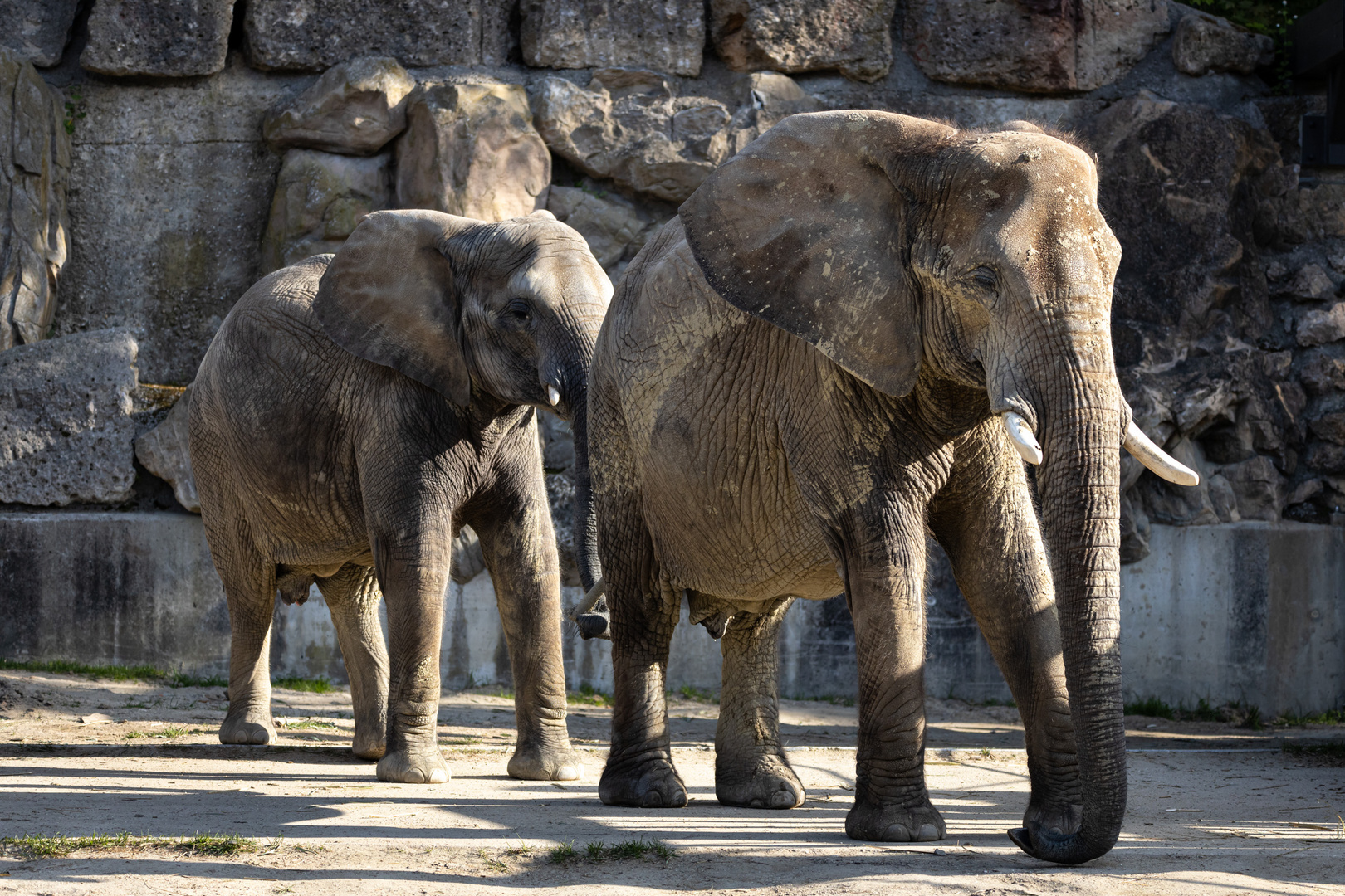 Tierpark Schönbrunn