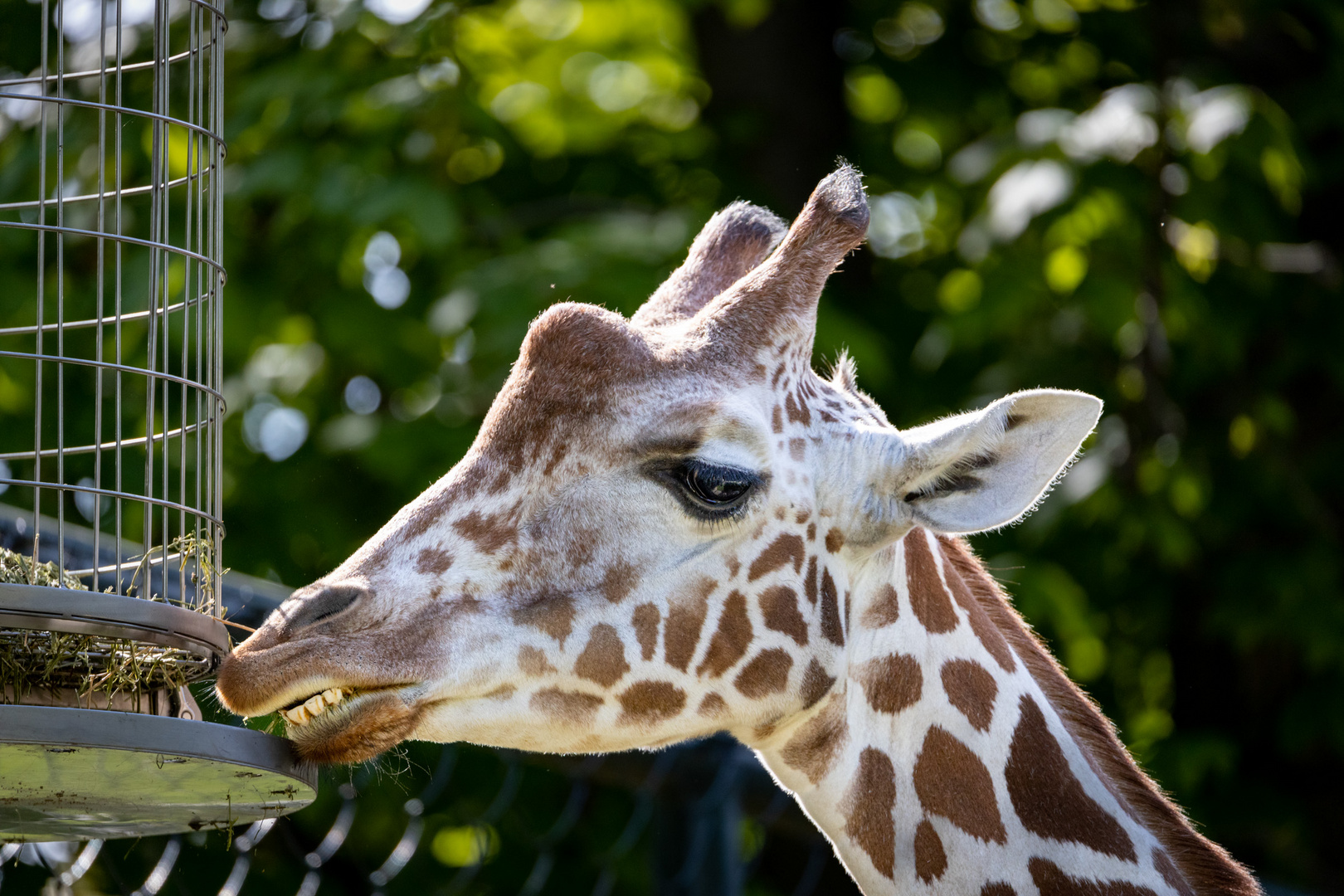 Tierpark Schönbrunn