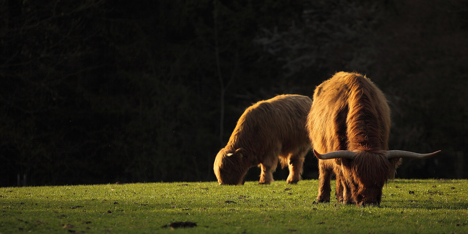 Tierpark Schwarze Berge