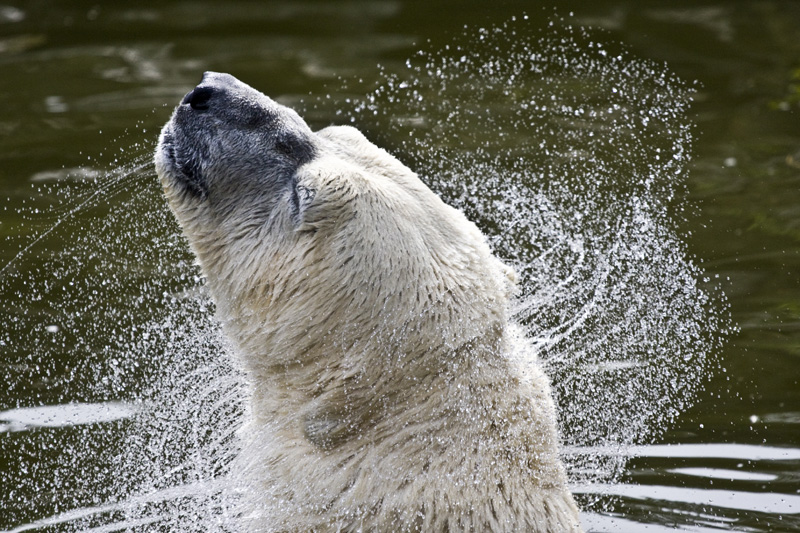 Tierpark Treptow