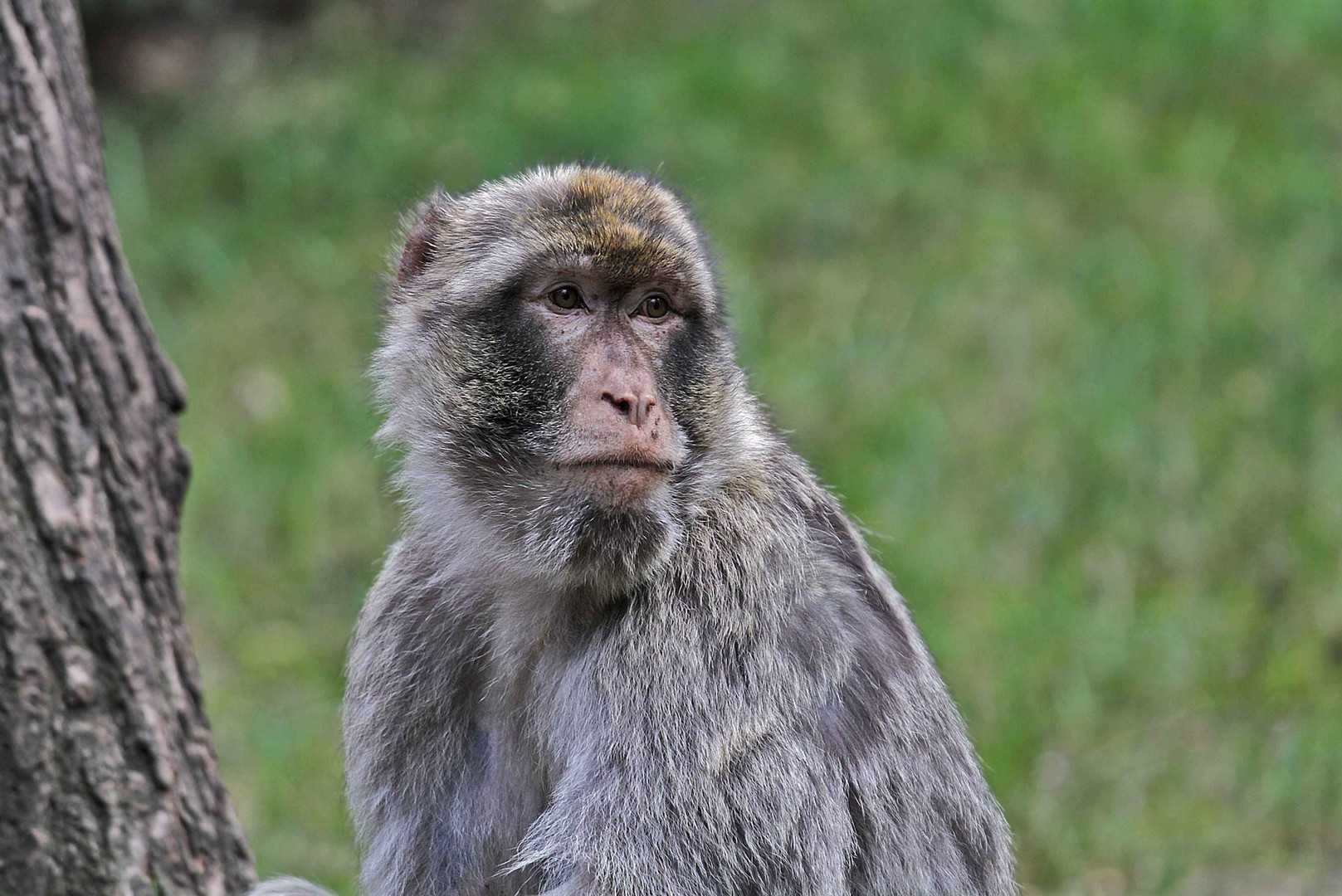 Tierpark Ückermünde