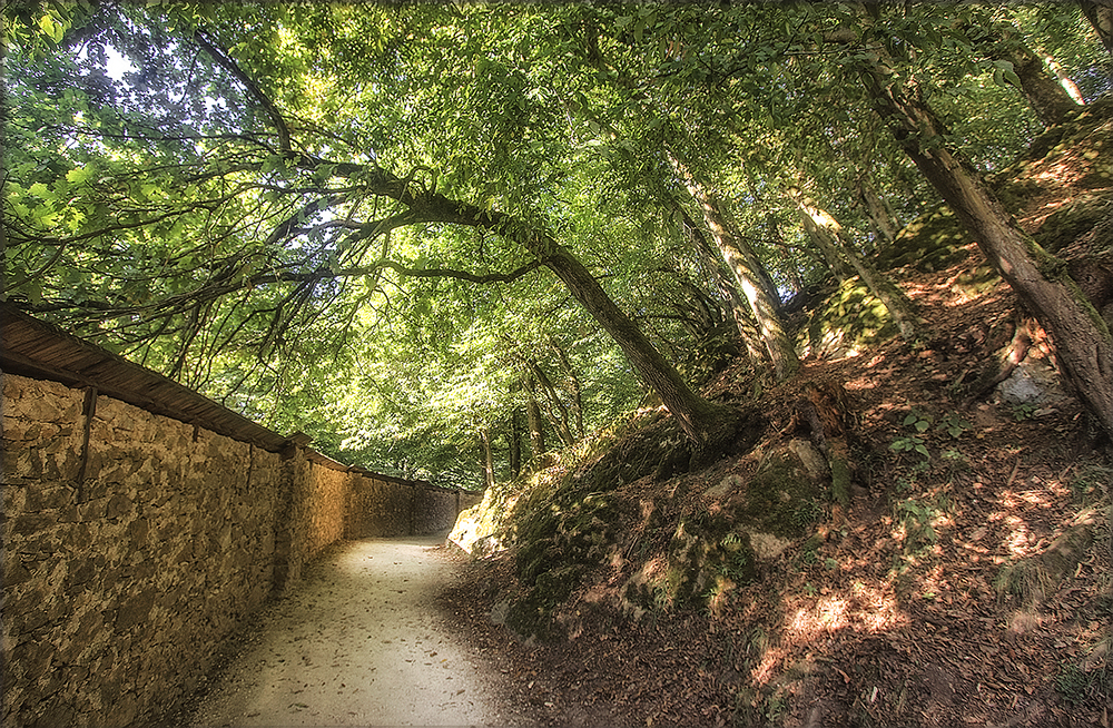 Tierpark und Schloss Rosegg