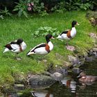 Tierpark Walsrode