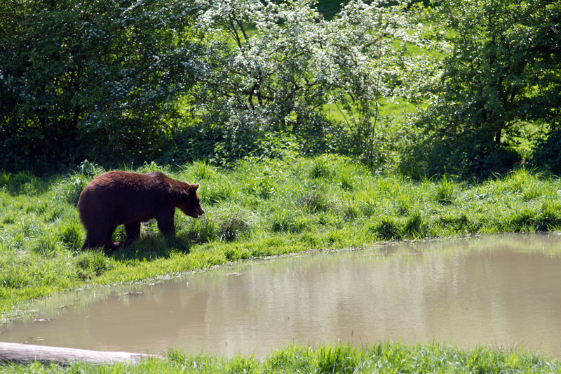 Tierpark Weilburg 001