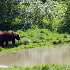 Tierpark Weilburg 001