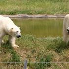 Tierparkbesuch!