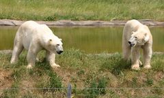 Tierparkbesuch!