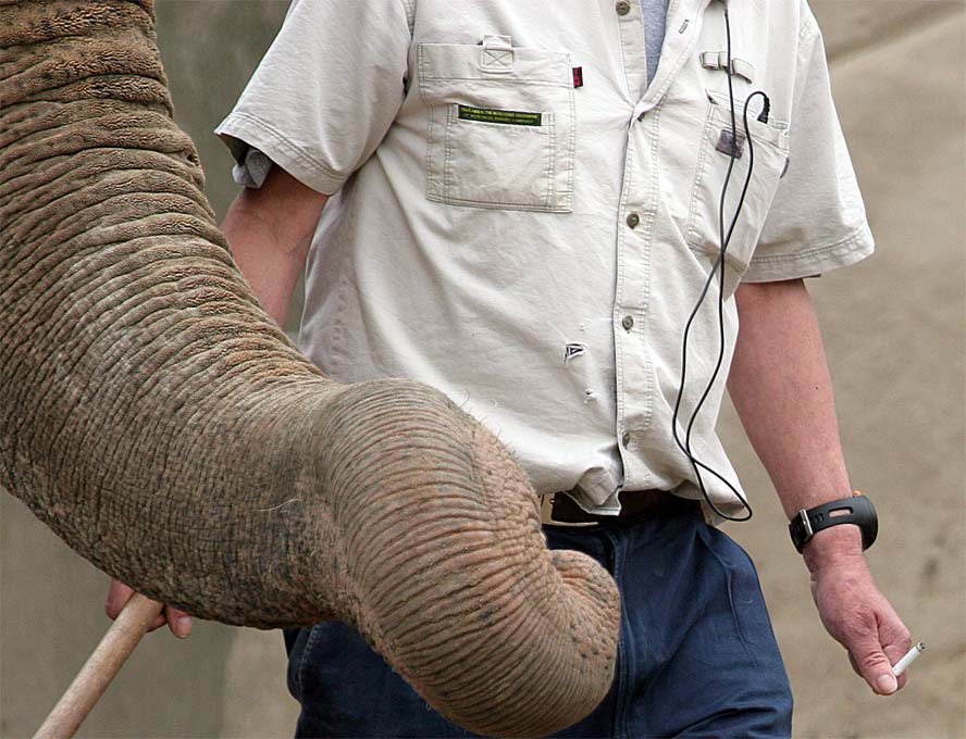 Tierpfleger mit Zigarette im Gehege