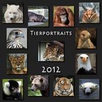 Tierportraits