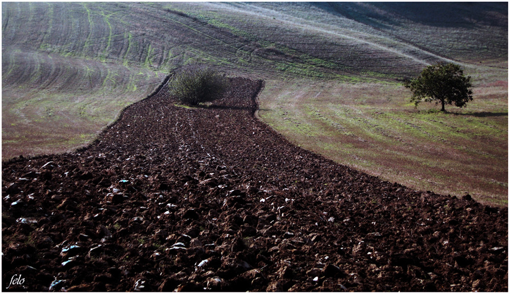 TIERRA COLOR SIENA