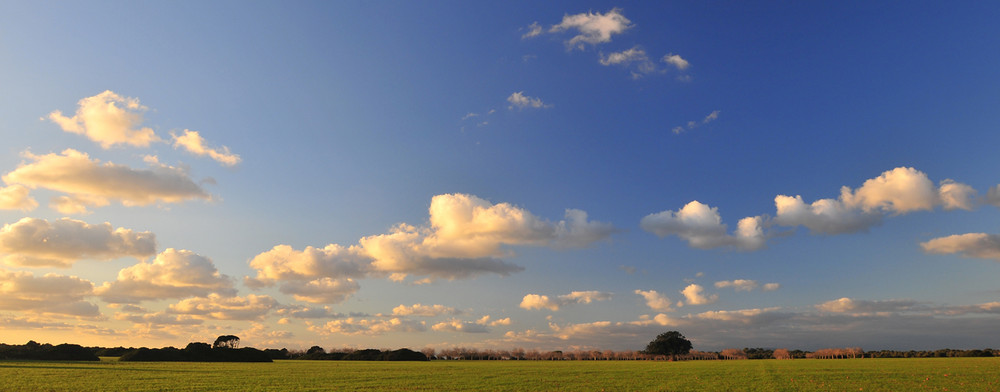 Tierra de Campos