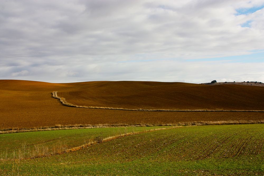 Tierra de Campos 3