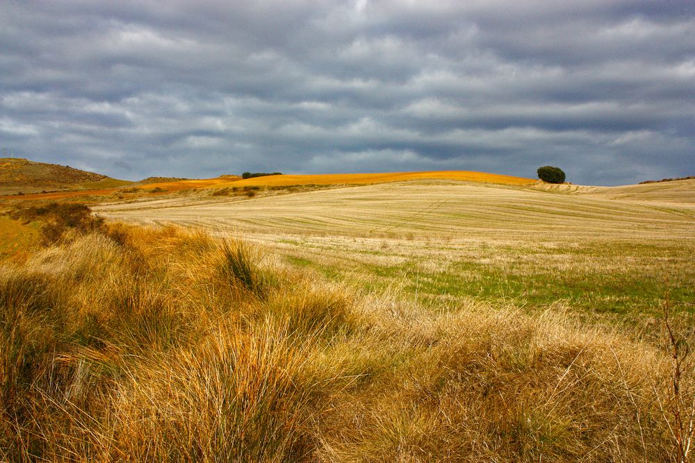 Tierra de Campos 4