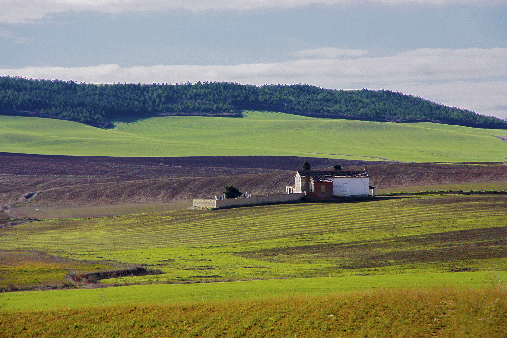 Tierra de Campos 5