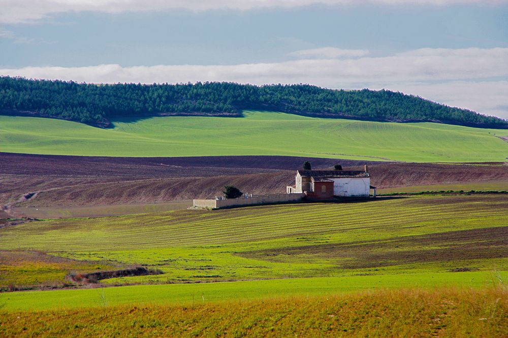 Tierra de Campos 5